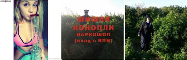 ECSTASY Богородск