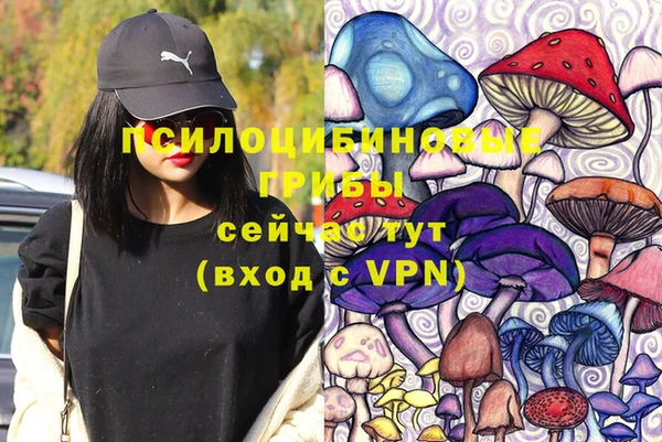 метамфетамин Богданович