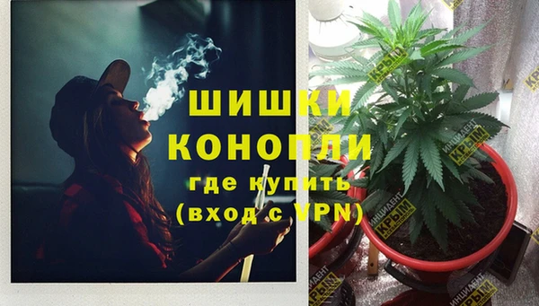 ECSTASY Богородск