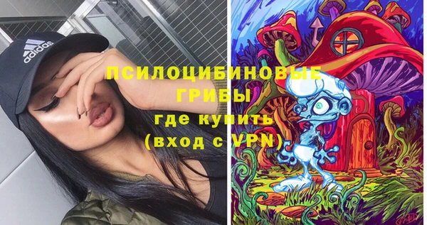 дживик Беломорск